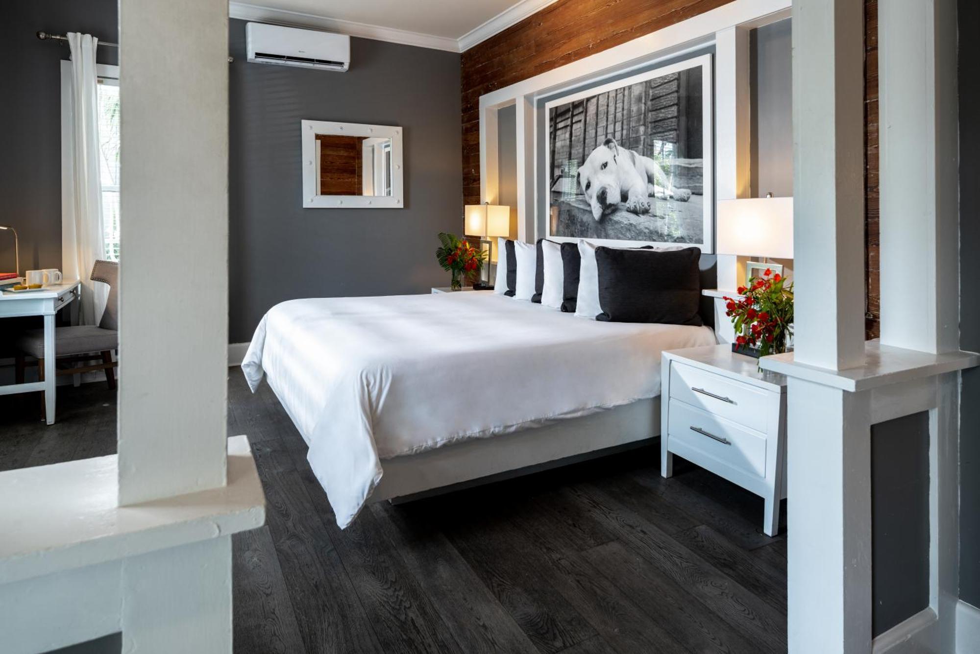 كي وست Alexander'S Guesthouse-Adult Exclusive, Lgbtq Friendly الغرفة الصورة